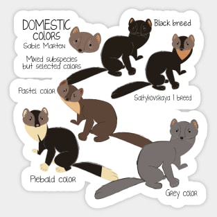 Meet the sable marten #1 Sticker